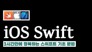  3시간 만에 iOS 앱 개발 정복하기  Swift5 언어 기초