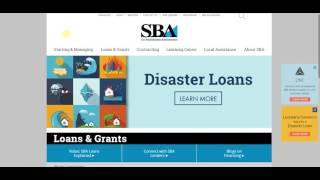 The U S  Small Business Administration