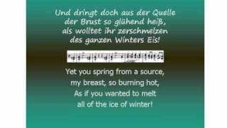 Schubert - Winterreise - Gefrorene Tränen  - Barry McDaniel & Aribert Reimann