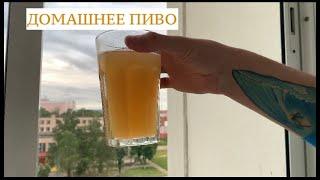 Домашнее пиво их хлеба. Самый простой рецепт