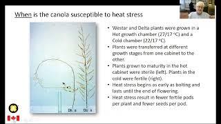 MAC 2021 - Heat and Moisture Stress in Canola