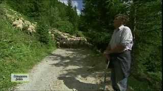 Rando dans les Alpes - Echappées belles