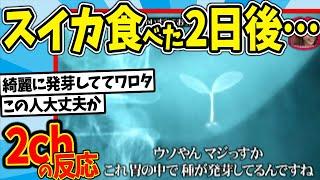 【水曜日のダウンタウン】ロッシー 何でも受け入れちゃいすぎておっかない説を見た2chの反応【2ch反応集】【ゆっくり解説】