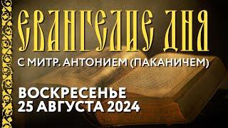 Толкование Евангелия с митр. Антонием (Паканичем). 25 августа 2024 года.