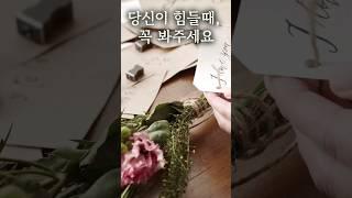 당신이 힘들때 반드시 봐야하는 영상 #긍정 #행복 #감사