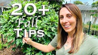 Best FALL Garden Tips from Florida Gardeners