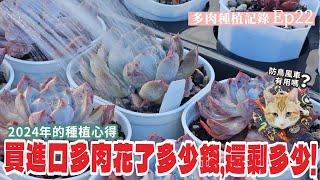 多肉種植記錄EP.22，盤點2023-2024一年多來，買進口多肉花了多少錢跟防鳥風車還有殺菌劑分享，新年快樂 #echeveria #多肉植物 #VLOG