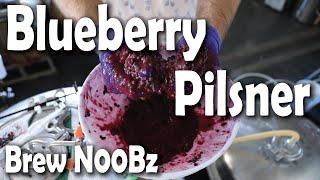 Blueberry Pilsner Grain to Glass | N00b Brewers | Pro Critique