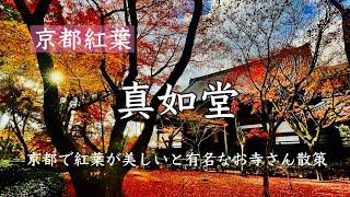 京都紅葉　真如堂　紅葉が美しいお寺さん