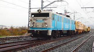 Trenes en Jundiz, ALSA, Herbicida Continental Rail, Transfesa y Renfe Mercancías 10/12/2024