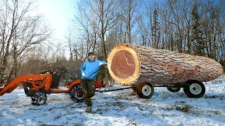 Ep.18 Off Grid Cabin Needs Siding - Skidding the BIGGEST LOG OF MY LIFE!