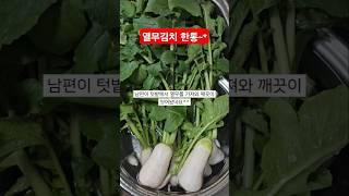 도시텃밭,중년부부의합동작품~열무김치