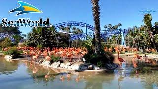 Live From SeaWorld San Diego - Park Reopening