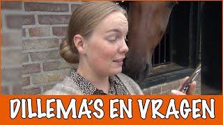 Q&A: De grootste paarden dilemma's!! | PaardenpraatTV