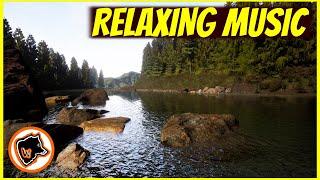 1 hour RELAXING PIANO MUSIC | RIVER ENVIRONMENT