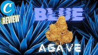 Cookies Blue Agave Flower Review