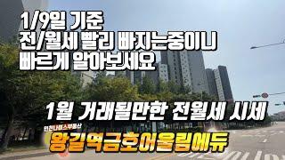 1월2주차) 왕길역금호어울림에듀그린 전월세 빨리연락주세요~~