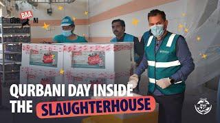 Inside the Slaughterhouse I What Happens on Qurbani Day?