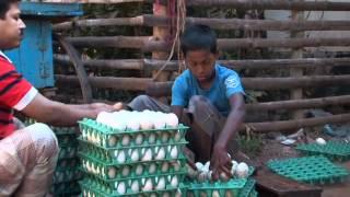 UNICEF: Bangladesh Early Childhood Development