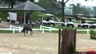 Video of TAZMANIAN DEVIL ridden by SAMANTHA PALERMO from ShowNet!