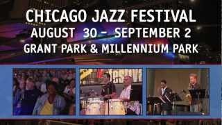 Chicago Summer Festivals