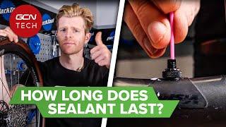 When Should You Replace Tubeless Sealant? | Maintenance Monday