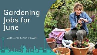 Gardening Jobs for June | Container Gardening with Ann-Marie Powell | PrimroseTV