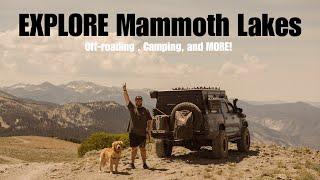 We Found The Best Offroading And Camping In Mammoth Lakes!