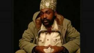 capleton - critics