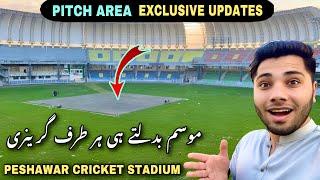 Peshawar Stadium Outside Exclusive Updates | Arbab Niaz Cricket Stadium Peshawar Renovation