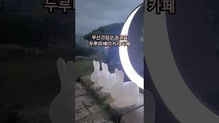 동화 같은 야경이 있는 대형 카페  '두루미베이커리카페' 부산여행 #shorts