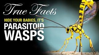 True Facts: Parasitoid Wasps