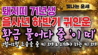 71년생 돼지띠 2025년 운세 하반기 귀인운'이 띠' 3가지 천을귀인입니다 상극인 띠 '3가지' 신해년 71년생 운세 신해생 돼지띠말년운 1971년생 재물운 을사년 하반기