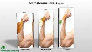 Protein Intake & IGF-1 Production