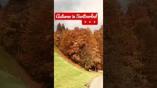 @HowToSwitzerland @Switzerland