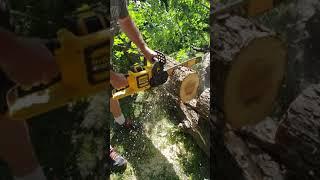 Dewalt 16" electric chain saw.