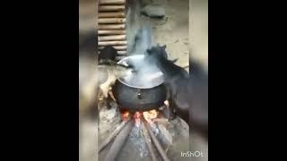 This Is So Unbelievable: Watch As Goats Feed From A Boiling Pot.