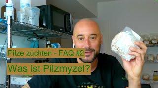 Pilze züchten - Was ist Pilzmyzel? Pilzzucht FAQ #2