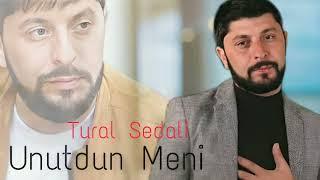 Tural Sedali - Unutdun Meni - 2023 Official Music