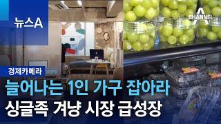 [경제카메라]늘어나는 1인 가구 잡아라…싱글족 겨냥 시장 급성장 | 뉴스A