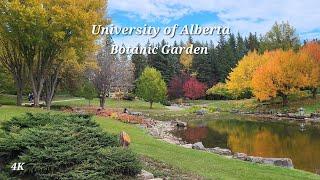 University of Alberta Botanic Garden - Start of Fall Season - September 2024 Tour