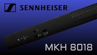 Sennheiser MKH 8018 Stereo Shotgun Microphone Review