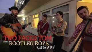 'Ain't I'm A Dog' Two Faced Tom & The Bootleg Boys (Rhythm Riot) BOPFLIX sessions