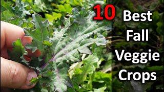 Fall Gardening -10 Fall Vegetables To Plant In September