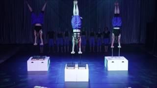 Kasey Rose Brandt - Circus Professional - Acrobat, Aerialist, Hand stand artist