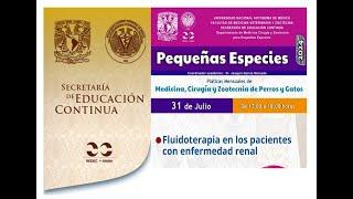 Fluidoterapia en los pacientes con enfermedad renal