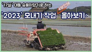 2023년 모내기작업 4분만에 몰아보기 @mystorychannel3768