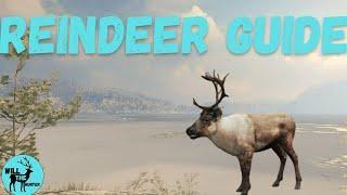 Medved Taiga Reindeer Guide! TheHunter Call Of The Wild 2023