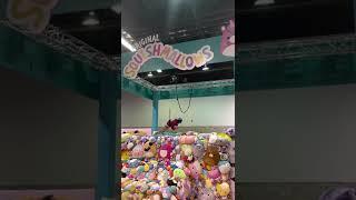 This is the #Squishmallows human #clawmachine at #VidCon! #shorts #vidcon2022