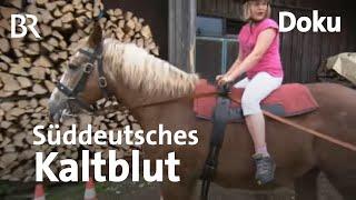 Ruhig, besonnen: Süddeutsche Kaltblüter | Zwischen Spessart und Karwendel | Pferde, Rösser | Doku